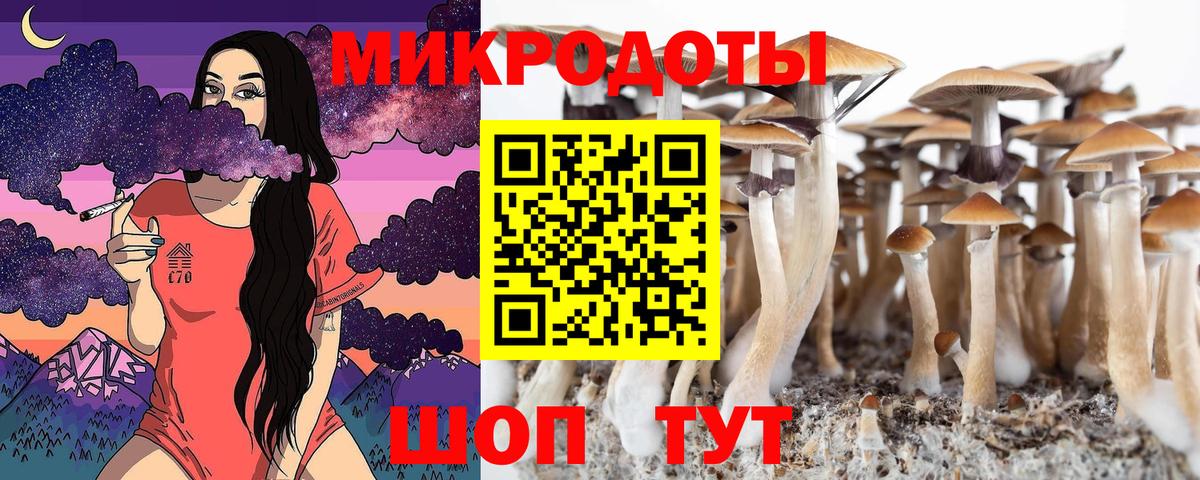 Псилоцибиновые грибы Psilocybe  Вход с VPN  Элиста 