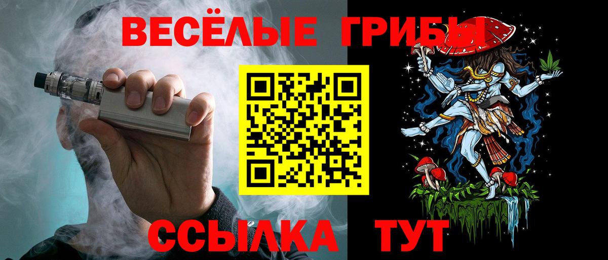 Галлюциногенные грибы Cubensis Элиста
